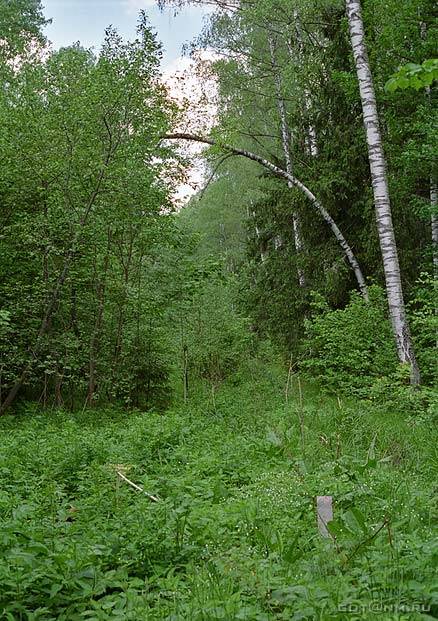 fp40_35a Она же. Пересекла ложбину с ручьем